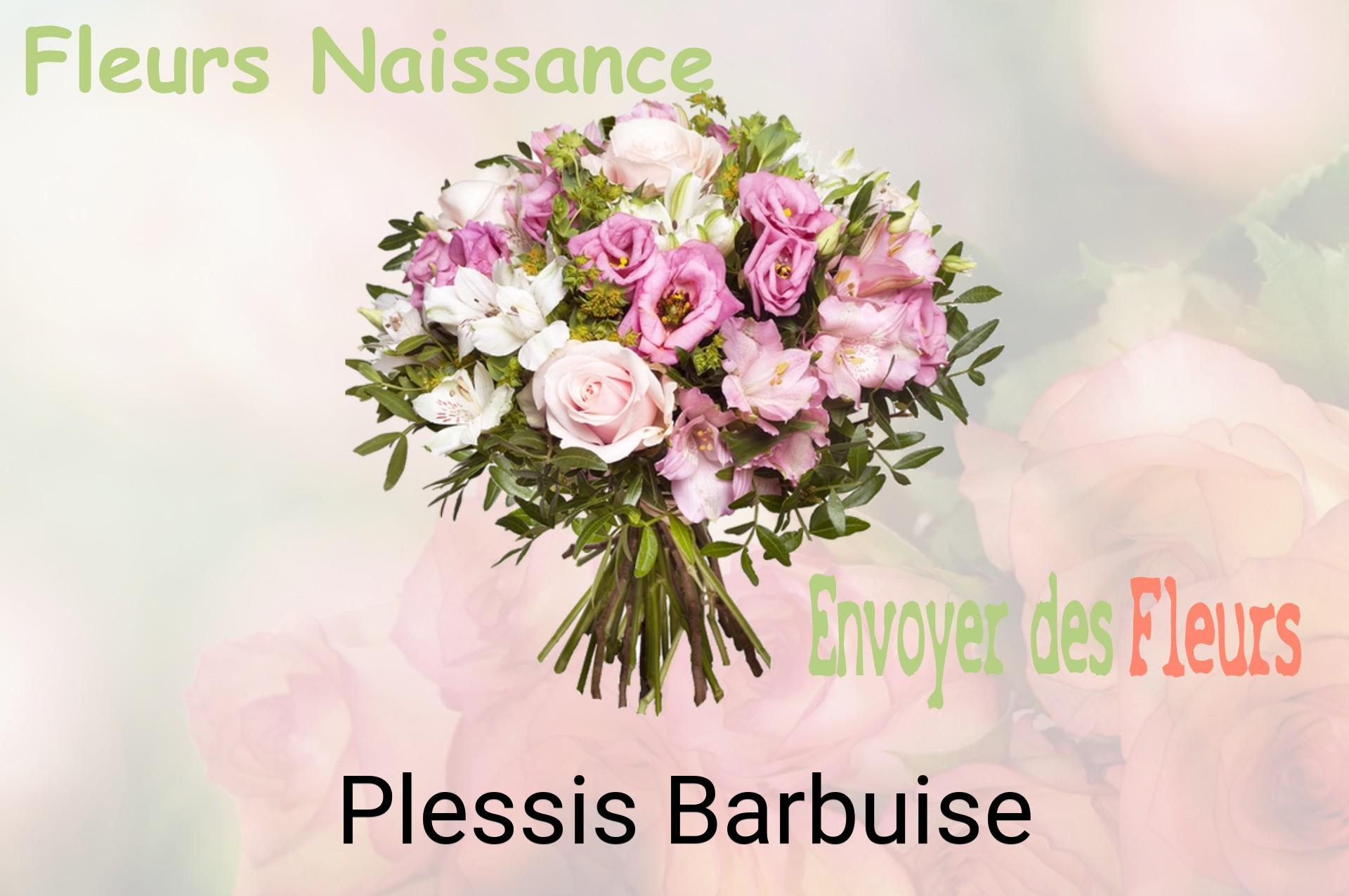 Bouquet de fleurs de naissance livré à Plessis-Barbuise