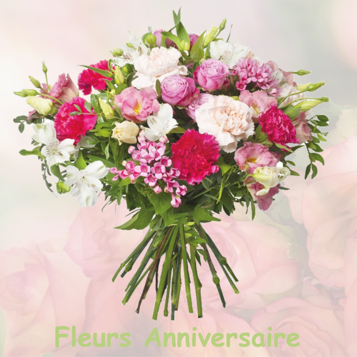 fleurs anniversaire PLESSIS-BARBUISE